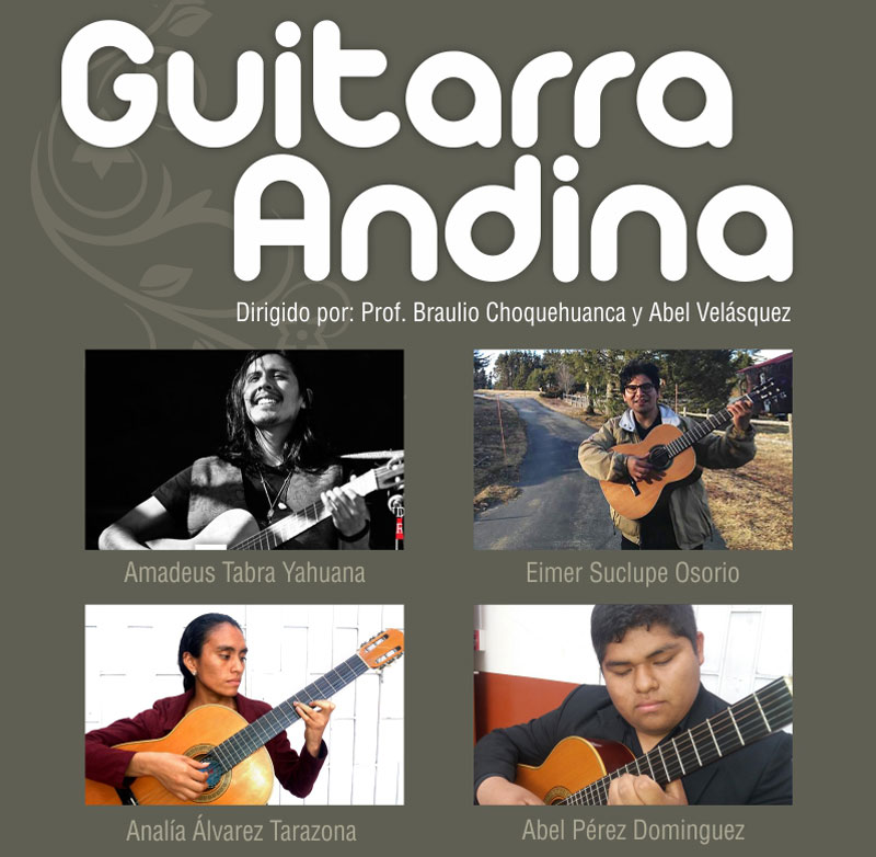 Guitarra Andina